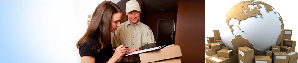 Rise India Logistics.